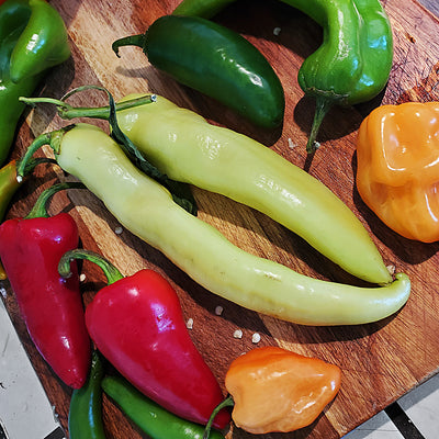 8 Pepper Fermented Hot Sauce - Medium Hot